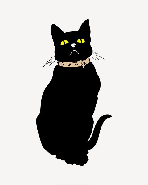 Black Cat Yellow Eyes