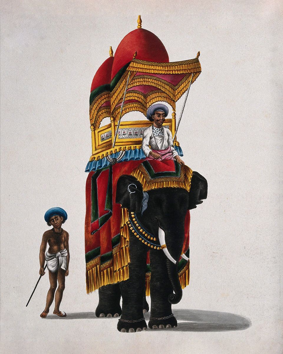 Regal Majesty: 'Elephant Carrying Howdah'
