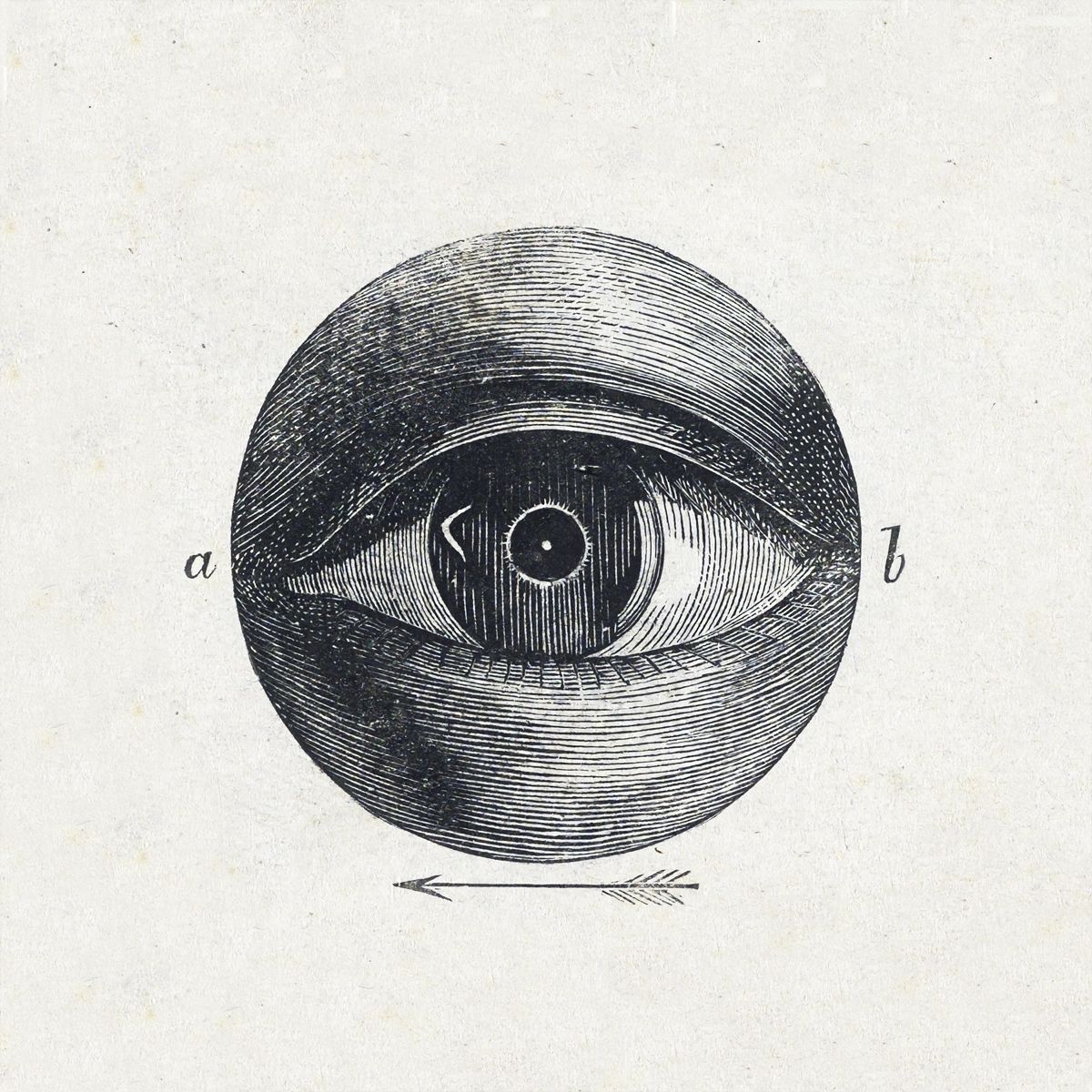 Eye