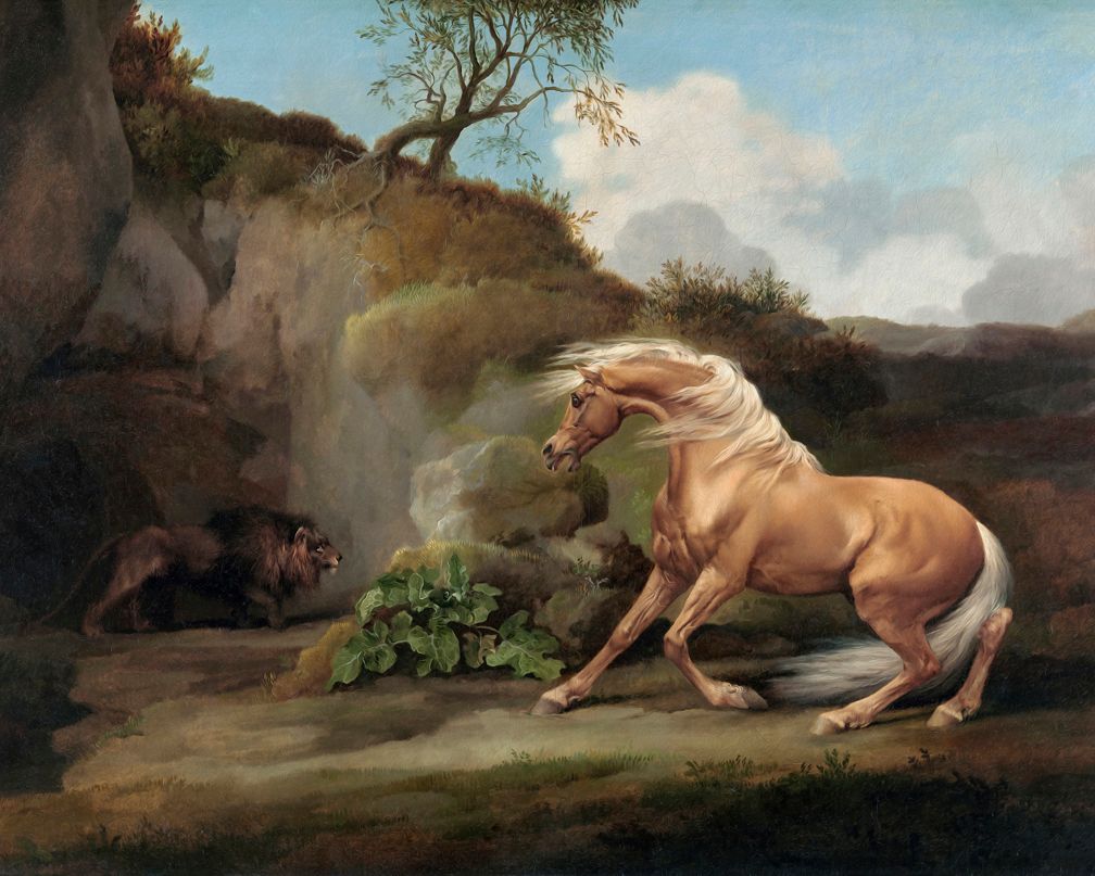 Wildheart Drama 'Fearsome Encounter' Animal Art