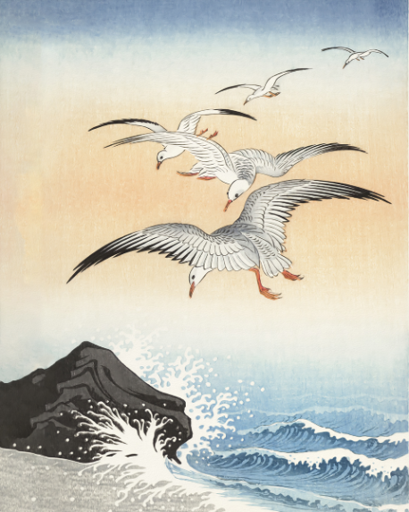 Dance Above the Waves: 'Five Seagulls Above Turbulent Sea'