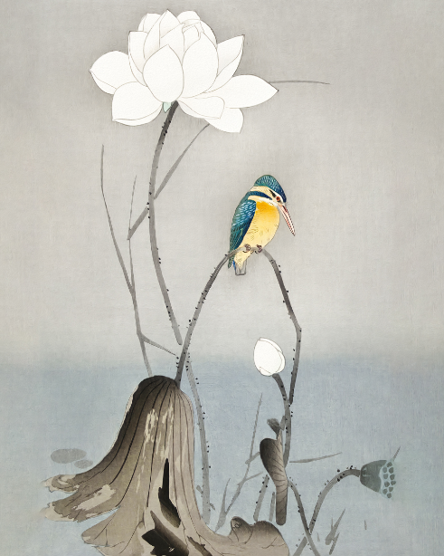 Harmony Unveiled: 'Kingfisher with Lotus Flower'