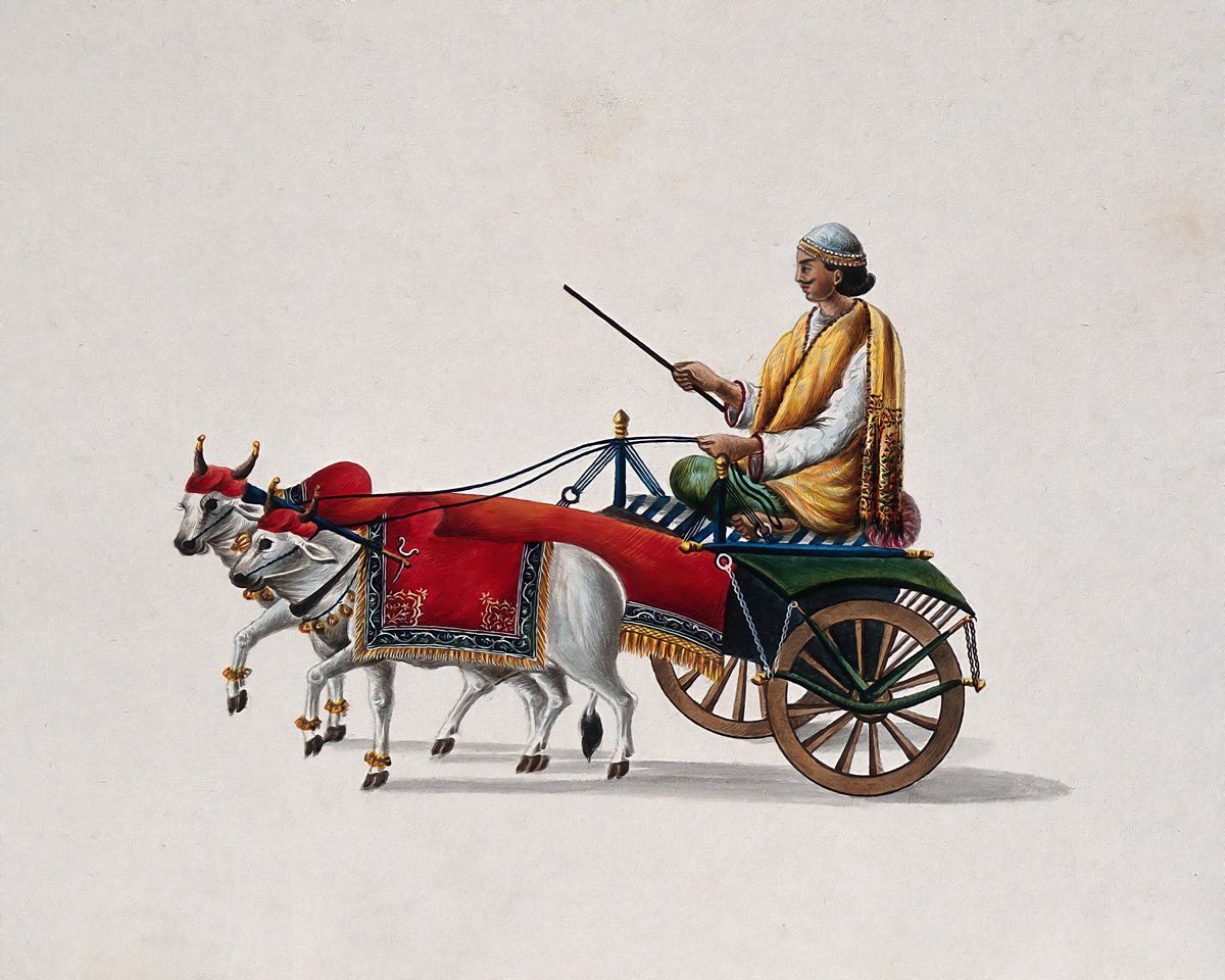 Rural Elegance: 'Man Driving Bullock Cart'