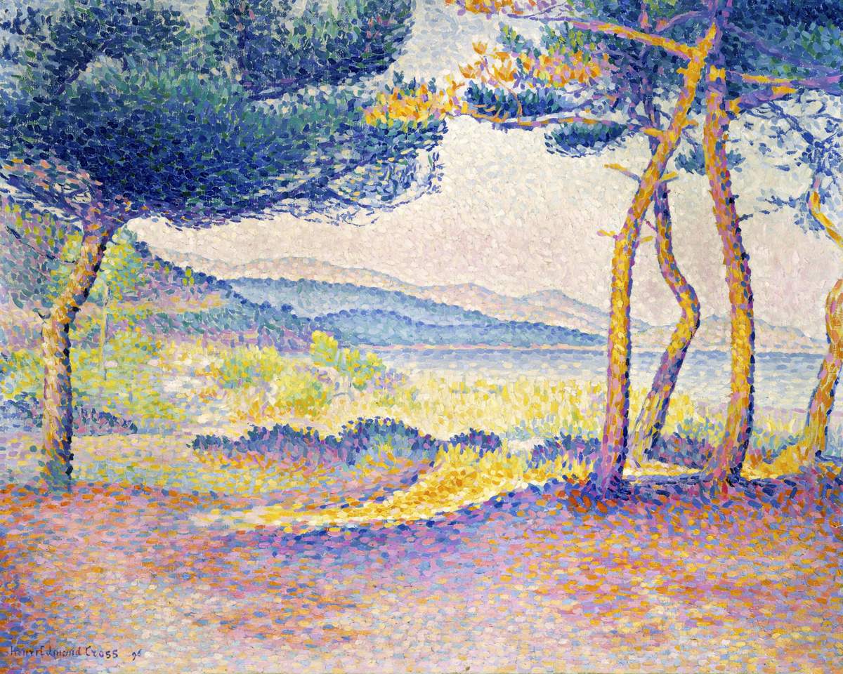 Pines Along the Shore