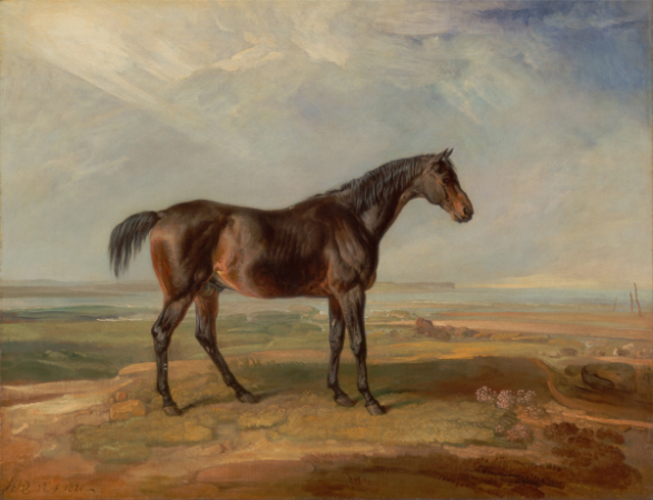 Spirited Stride 'Racehorse by the Coast' Art