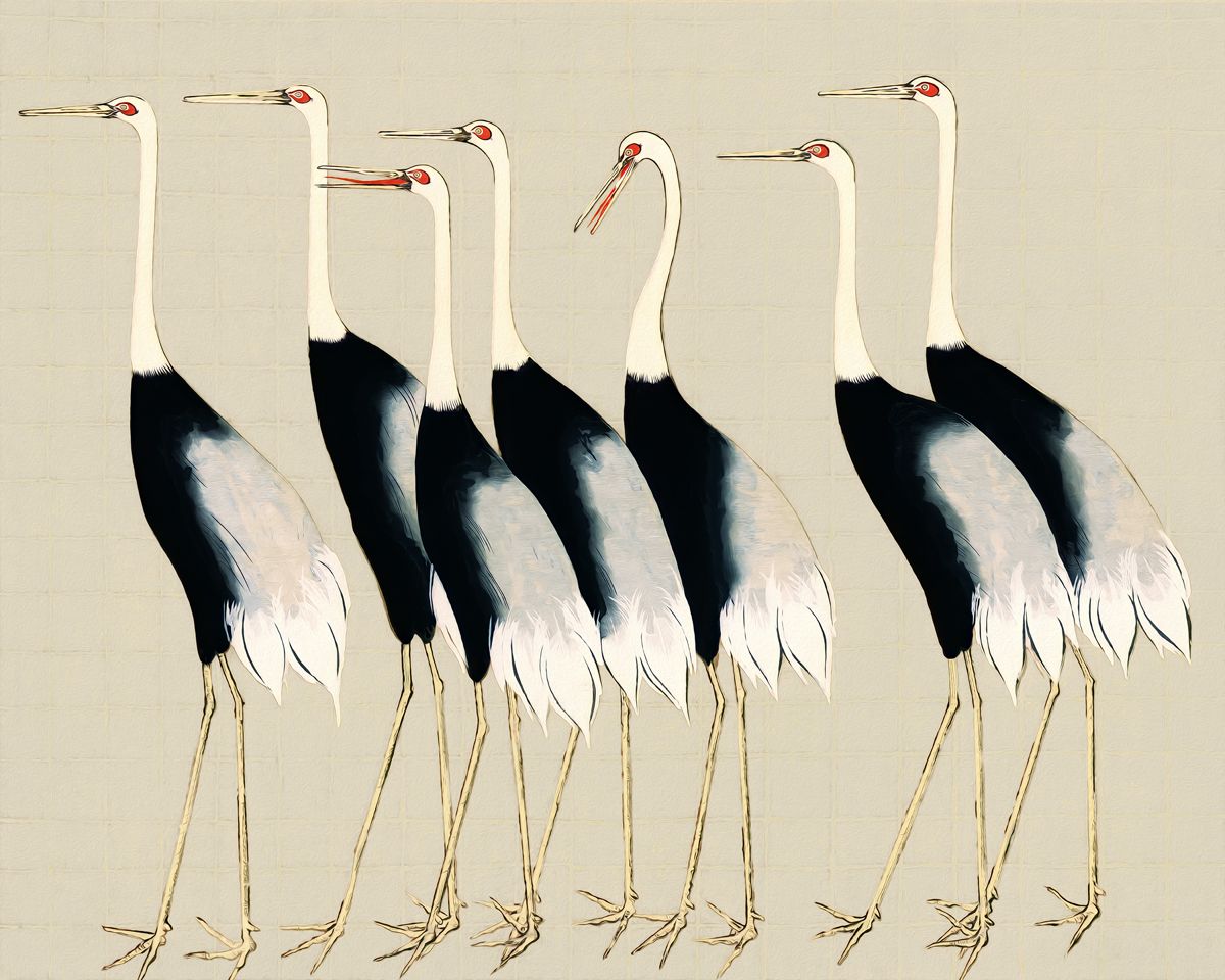 Crowned in Beauty: Red-Crowned Crane