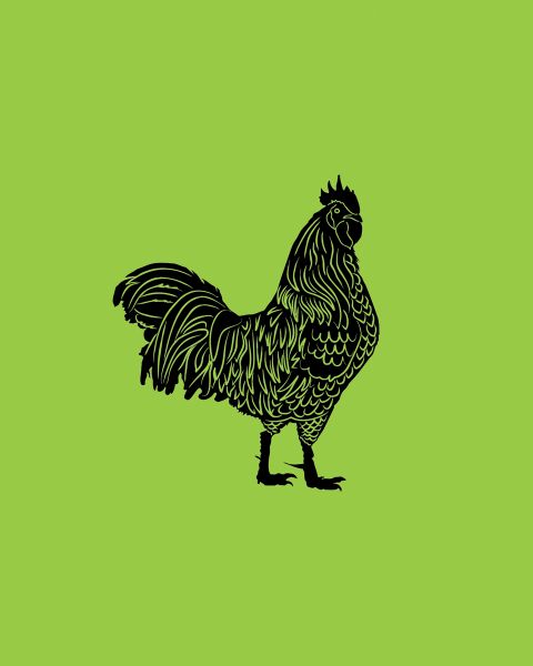 Rooster - 1