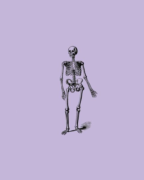 Skeleton