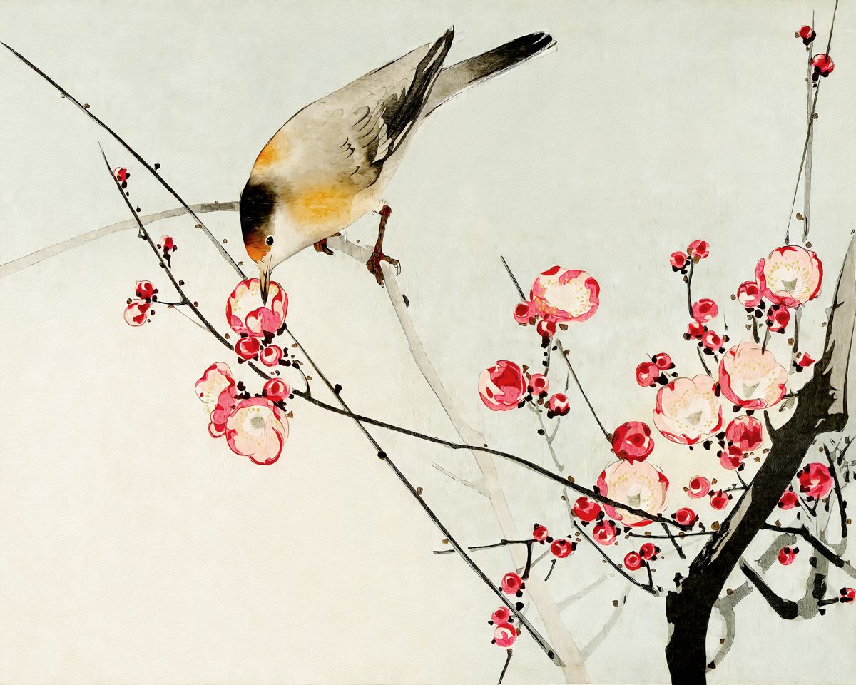 Nature's Serenade: Songbird on a Blooming Cherry Blossom Branch