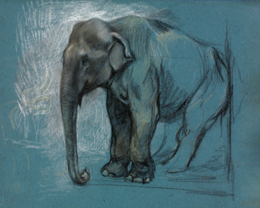 Elephant Essence 'Study of an Elephant' Art