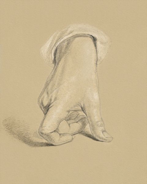 Study Of Right Hand