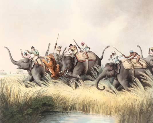 Hunting Expedition 'The Hunt' Art