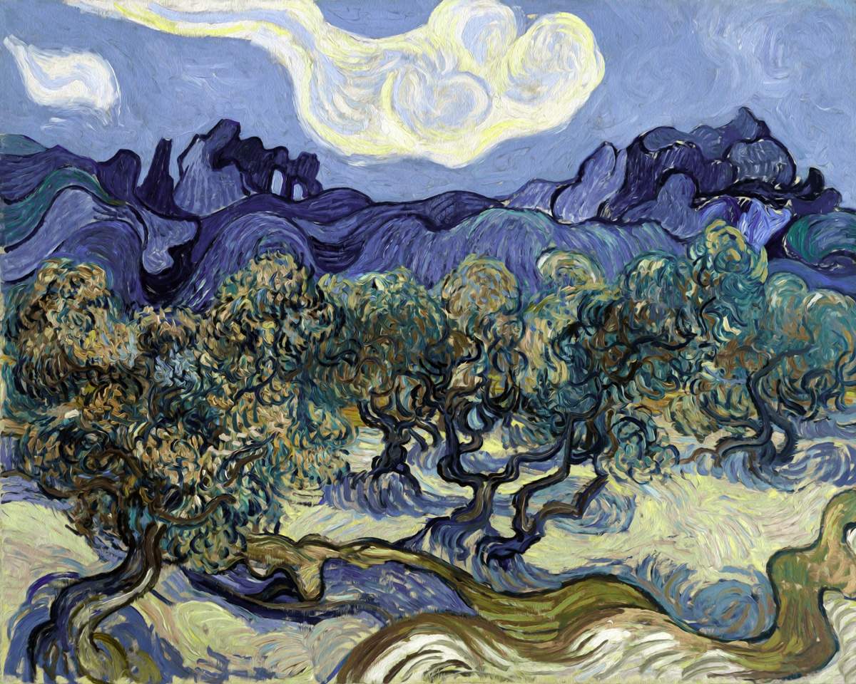 The Olive Trees: Van Gogh's Expressive Symphony