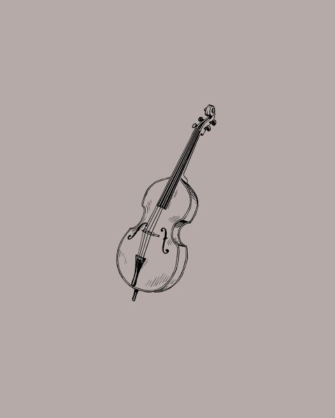 Violin