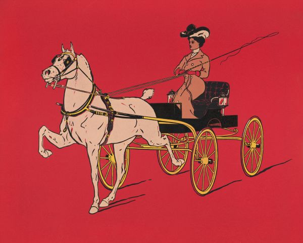 Woman On A Carriage
